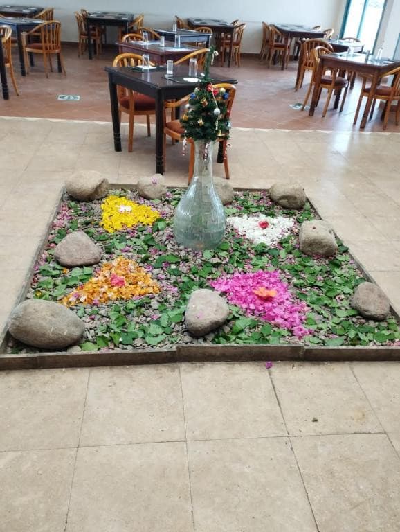 Badawia Resort