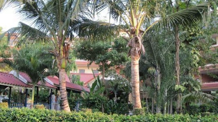Marble Garden View Hotel & Resort Pattaya