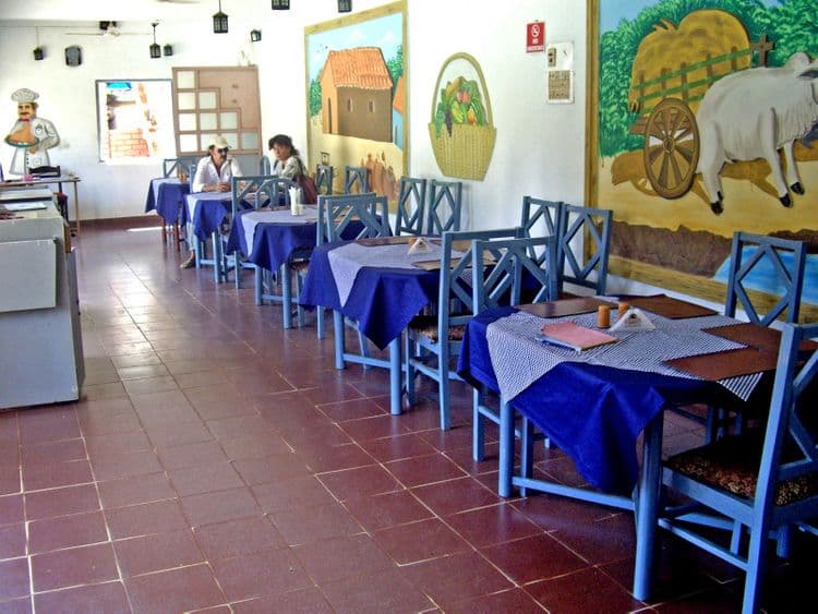 Maria Rosa