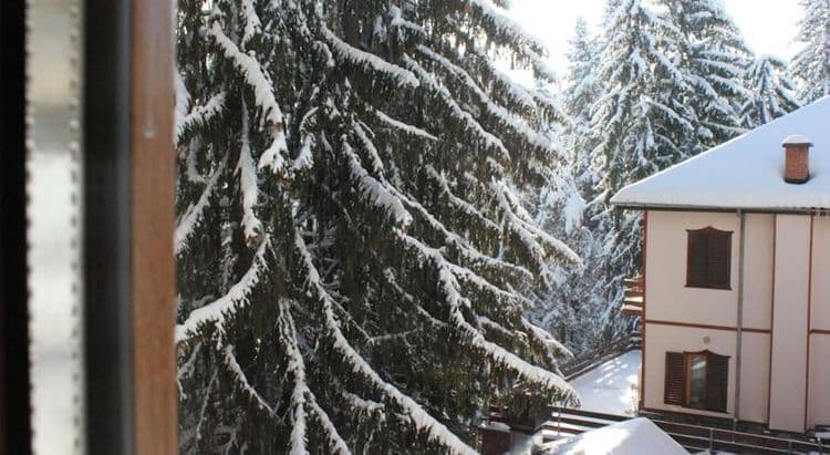 Mountain Lodge
