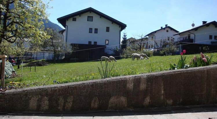 Treichl Gastehaus