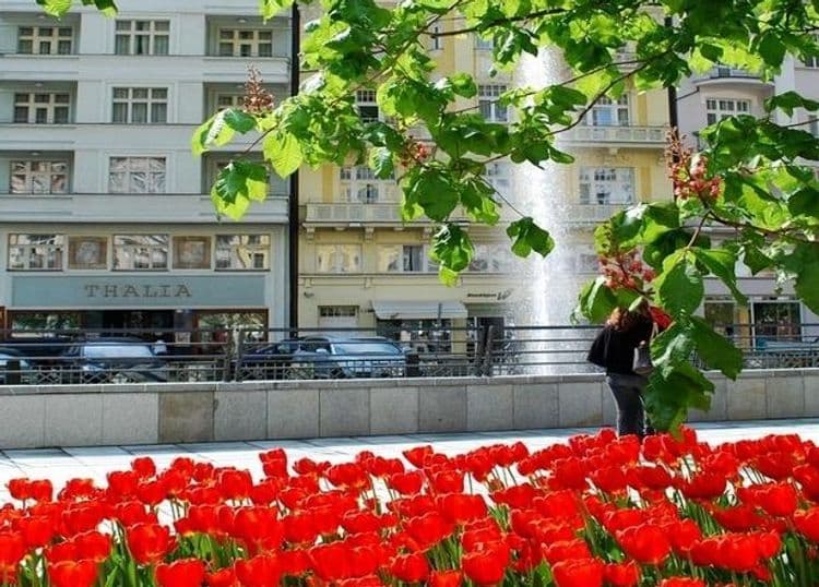 Thalia Apartments