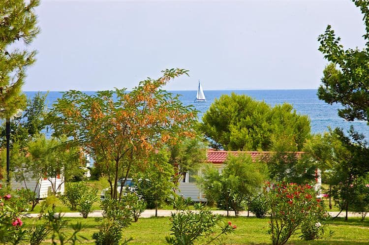 Arena Kazela Camping