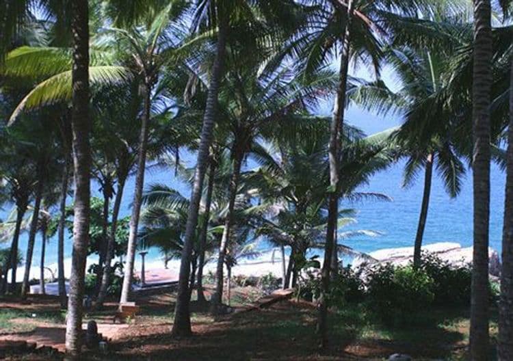 Niraamaya Surya Samudra