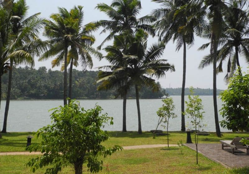 Kalari Rasayana