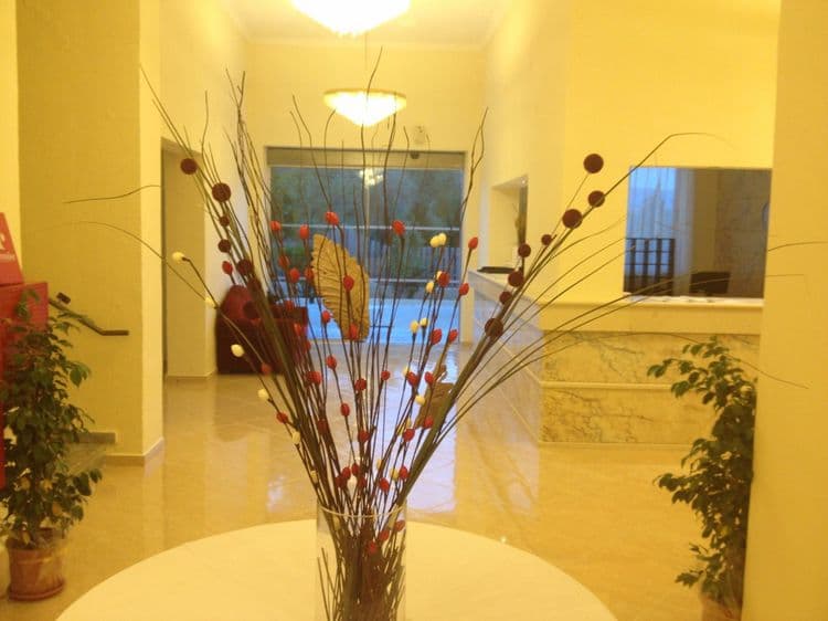 Amalia Hotel