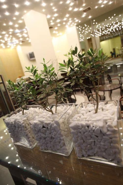 Olympic Hotel