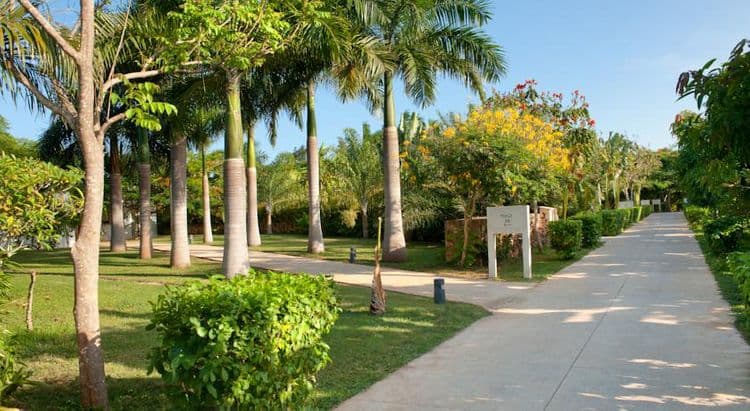 Melia Zanzibar