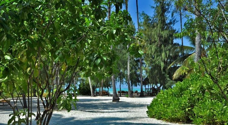 Nuru Beach Resort