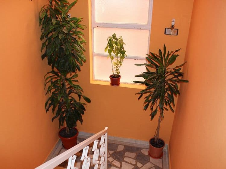 Zorka Illic Villa