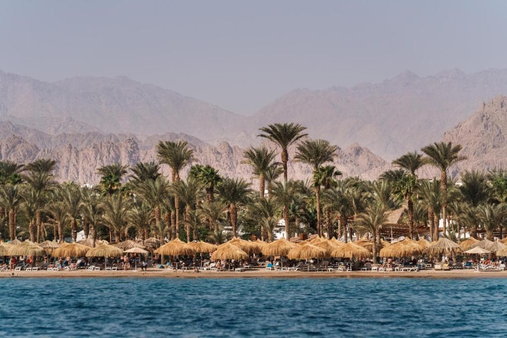 Jaz Fayrouz Resort 4*