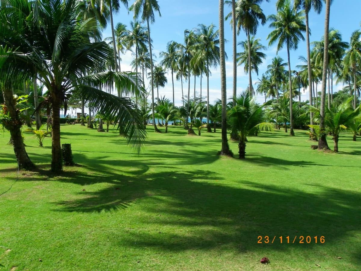 Chang Park Resort & SPA