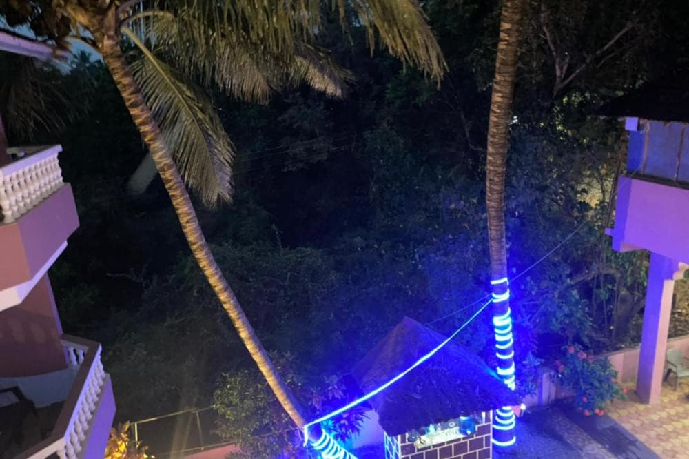 V&M CALISTO