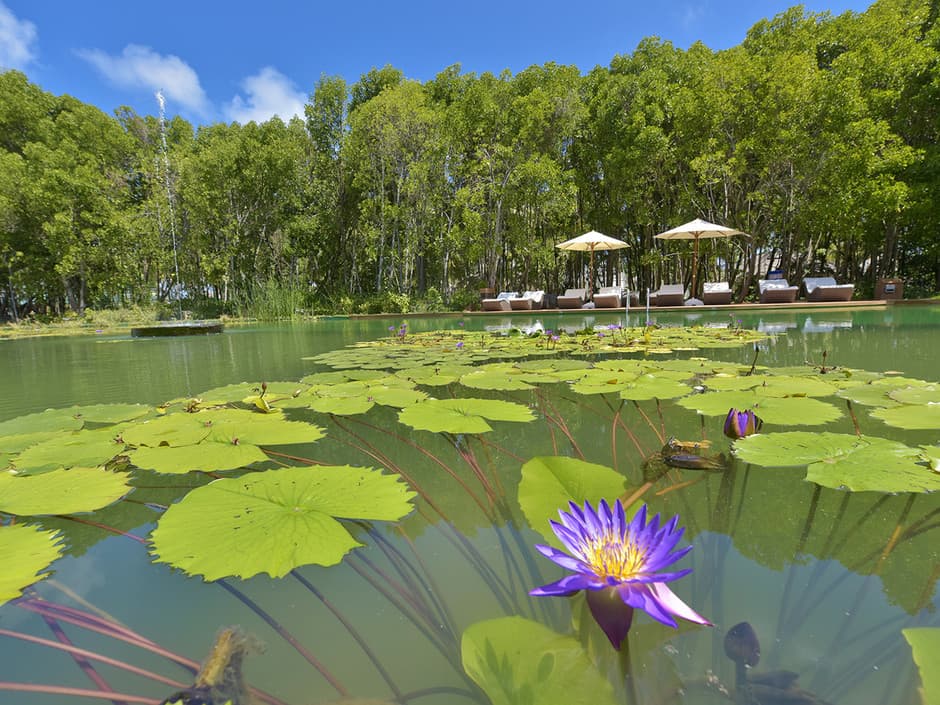 DREAMLAND RESORT & SPA