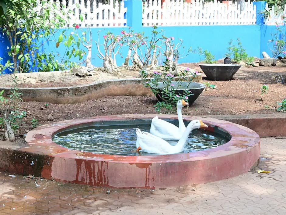 Casa Azul De Colva