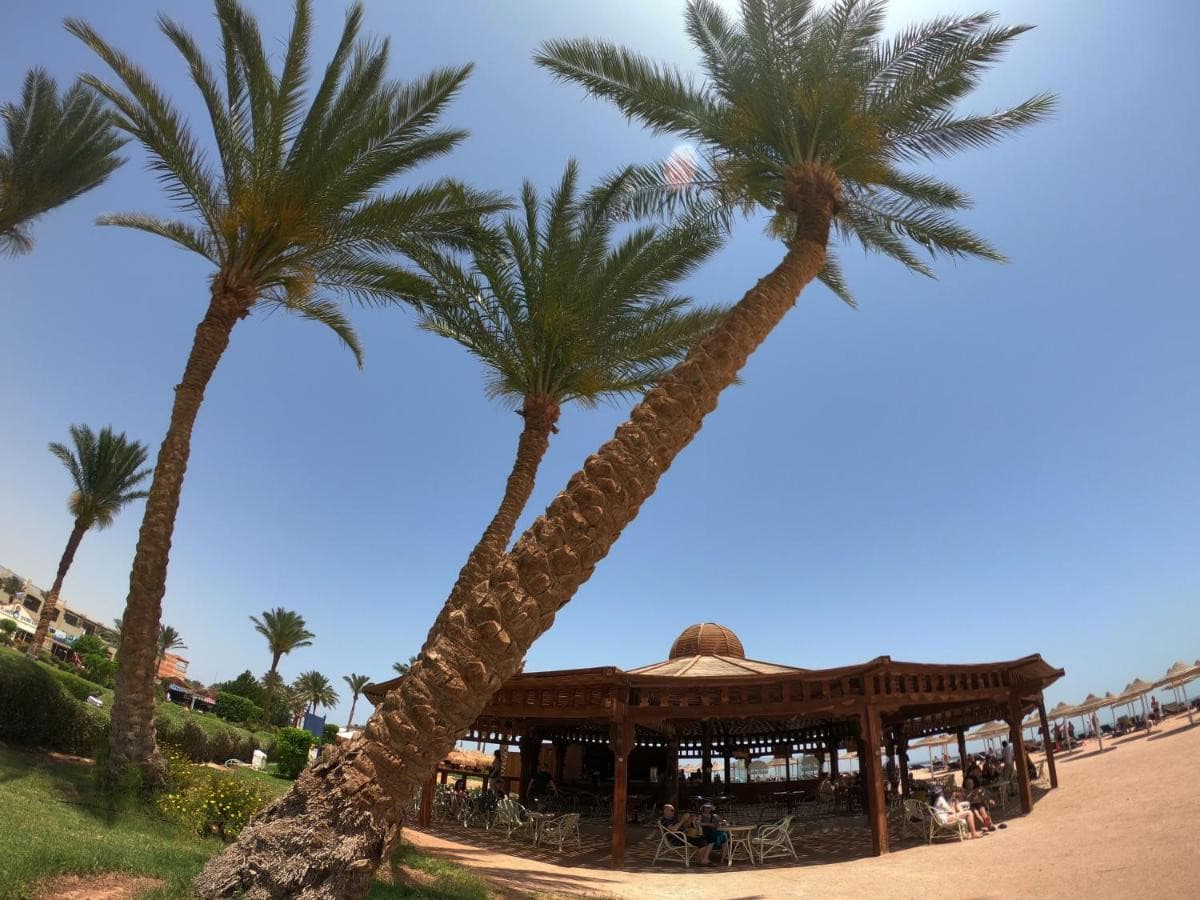 Royal Regency Club Sharm El Sheikh
