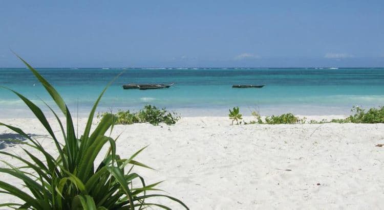 Next Paradise Boutique Resort