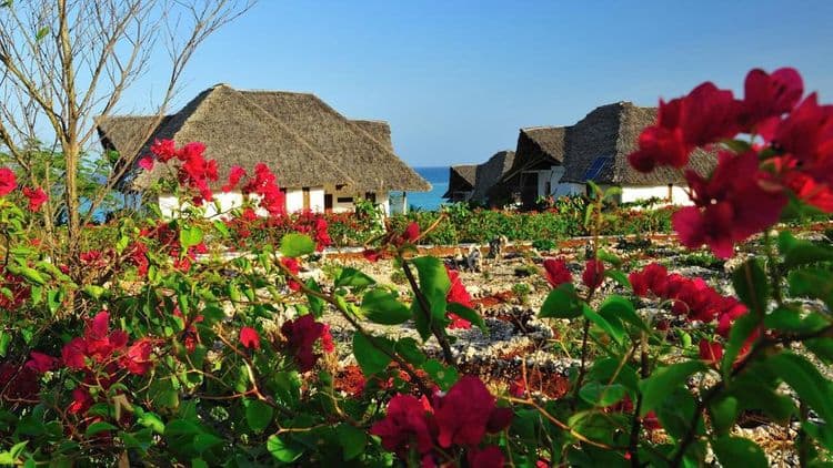 Kasha Boutique Hotel