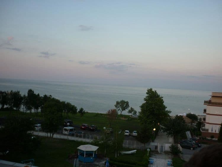 Royal Bay Garden