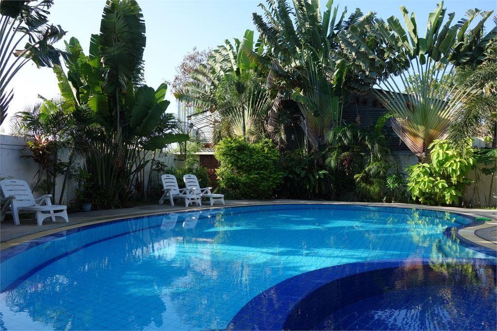 Jungle Resort