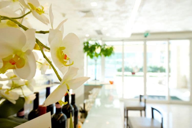 Mercure Rimini Artis