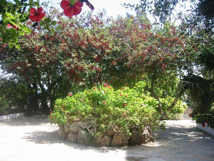 Simple Hotel Hersonissos Sky