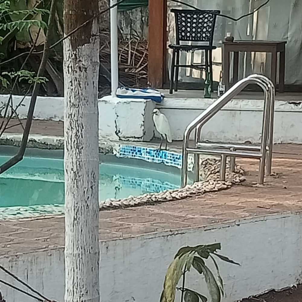 Coco’s Resort Goa