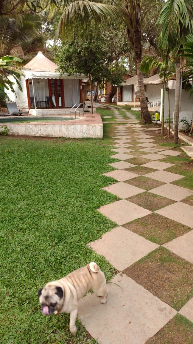 Coco’s Resort Goa