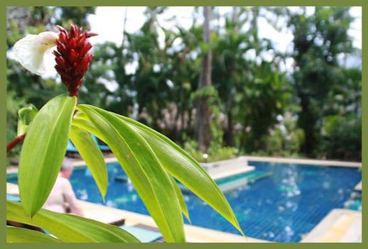 Ao Nang Premier Resort