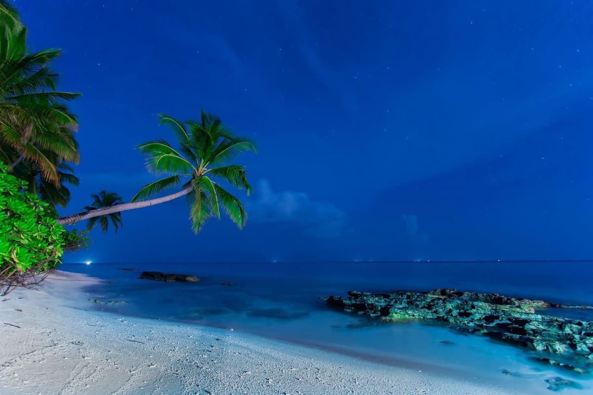 aaaVeee Natures Paradise