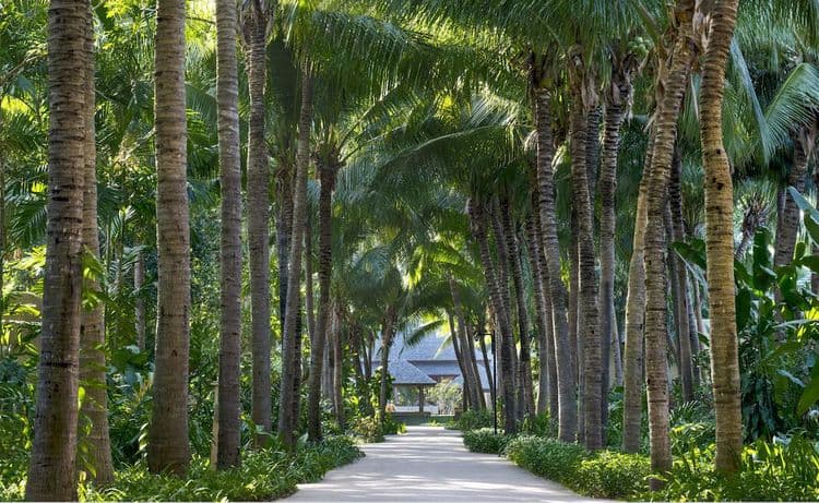 Sheraton Hua Hin Pranburi Villas