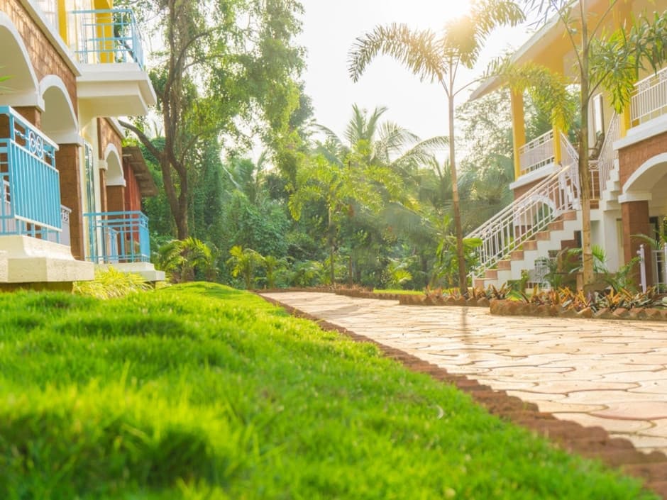 Passions De Goa