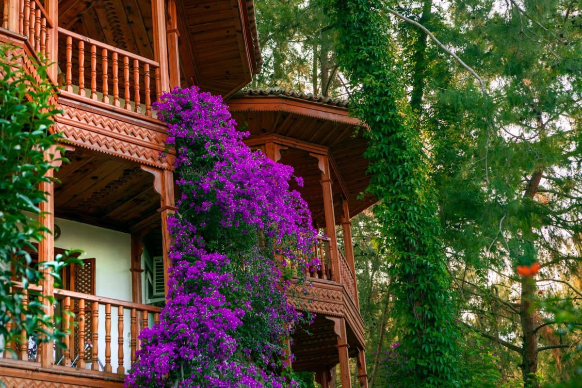 Letoonia Club & Hotel