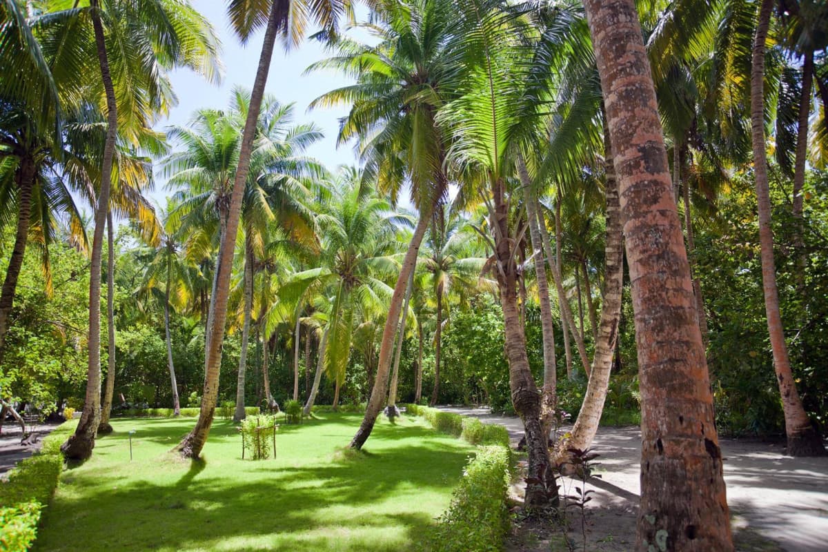 Filitheyo Island Resort