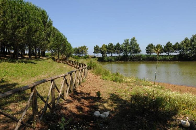 Popilia Country Resort