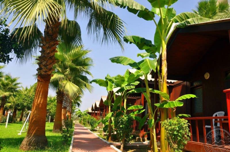 Dream Park Bungalow Hotel