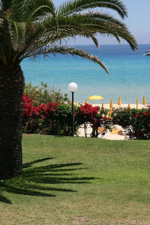 Free Beach Club