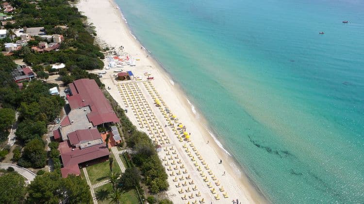 Free Beach Club