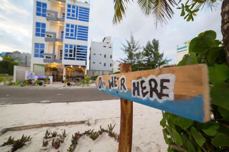 WHITE HARP BEACH