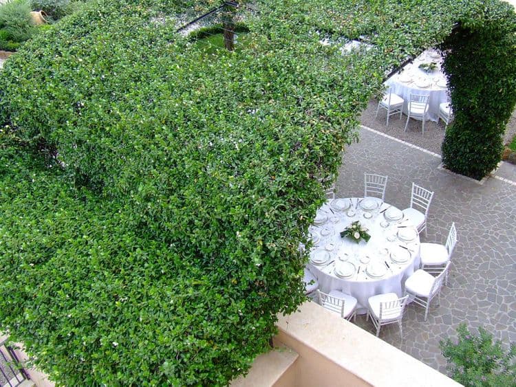 VOI Donna Camilla Savelli Hotel