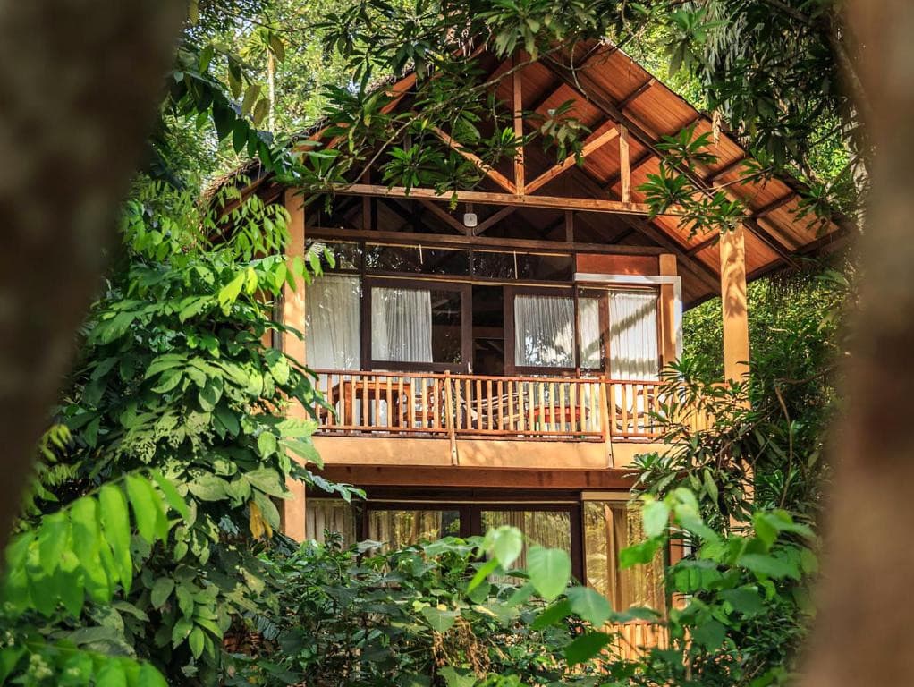 Jungle Village by Thawthisa