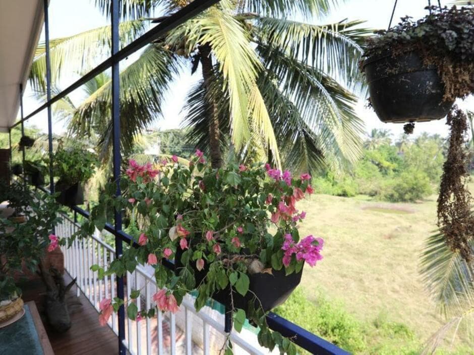 Nasyas Beachside Cottages