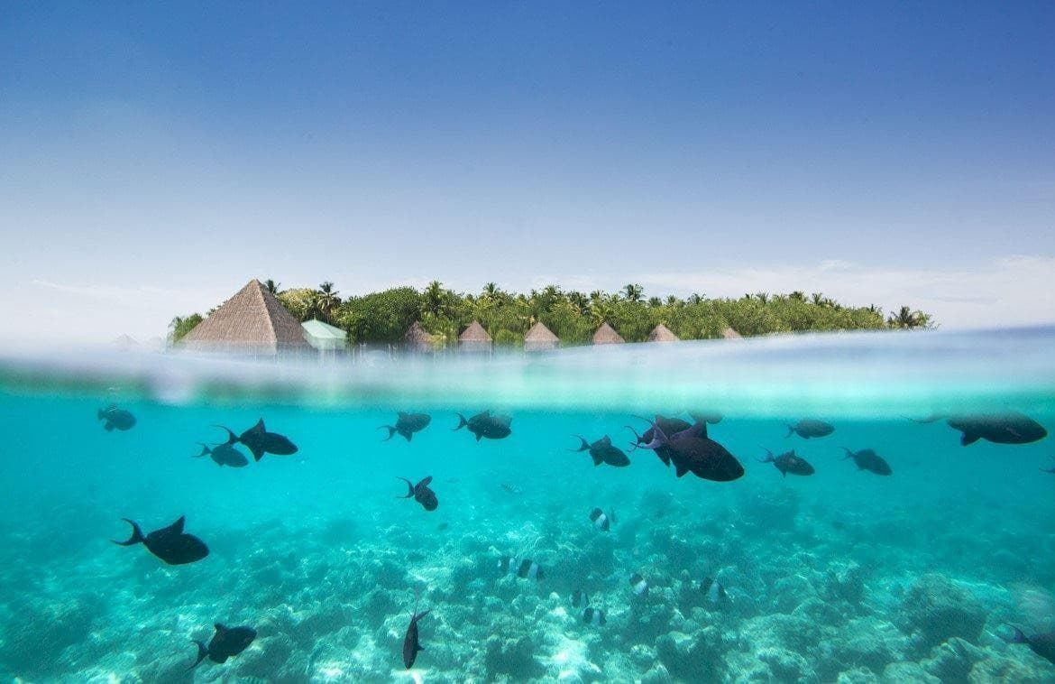 Gangehi Island Resort