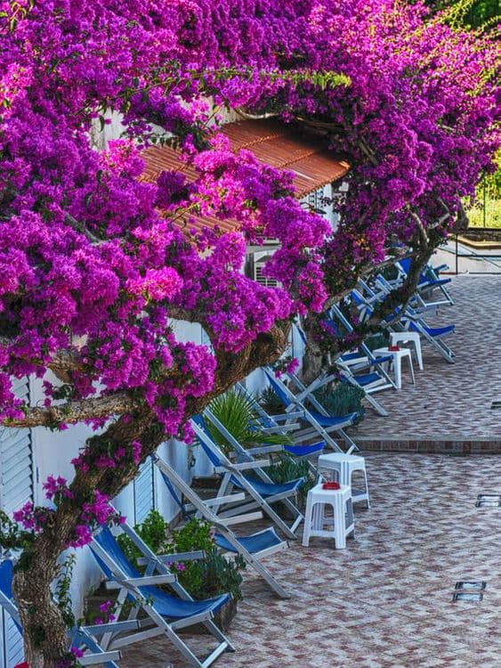 Parco Cartaromana Hotel