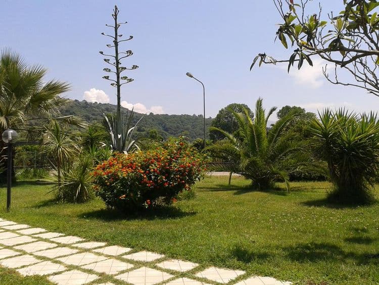 Il Casale Delle Arance