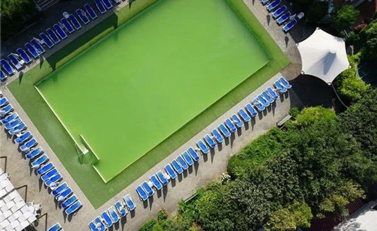 Grand Hotel Delle Terme