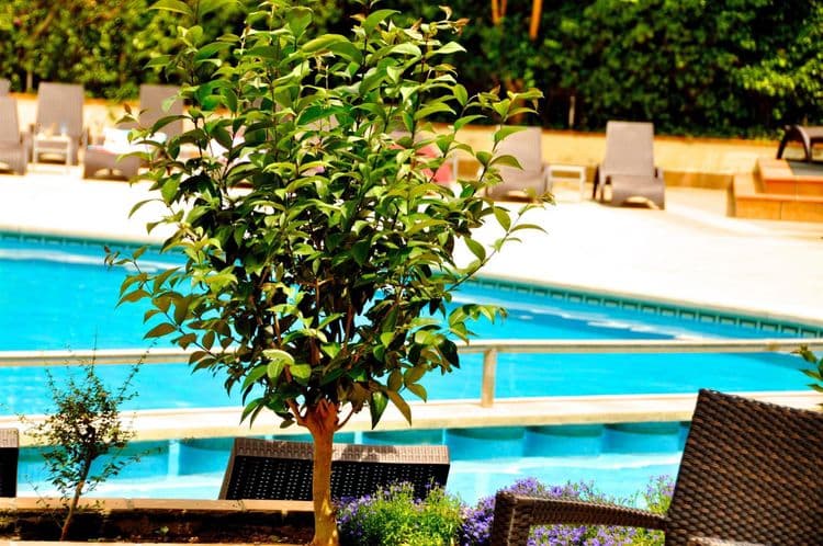 Ipanema Park Hotel