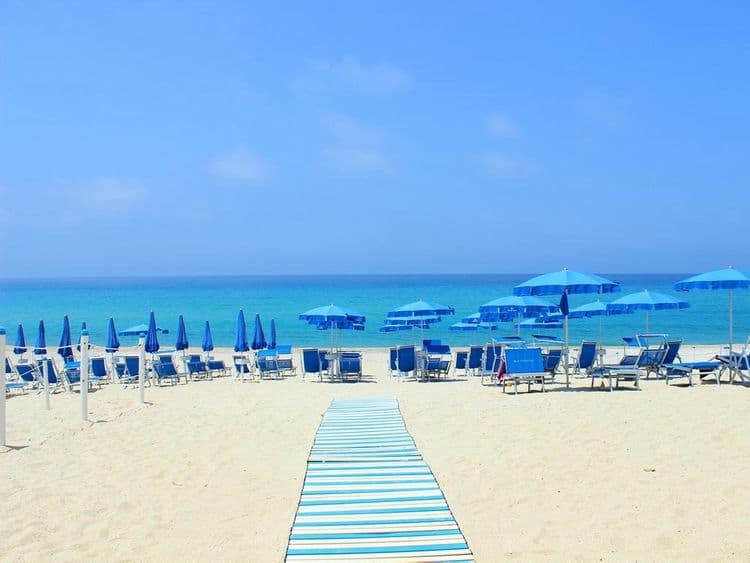 Blu Tropical
