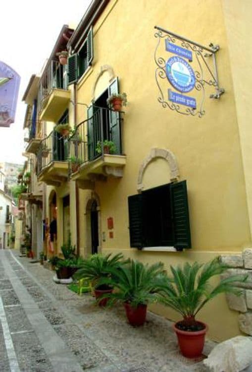 B&B Roulette Scilla