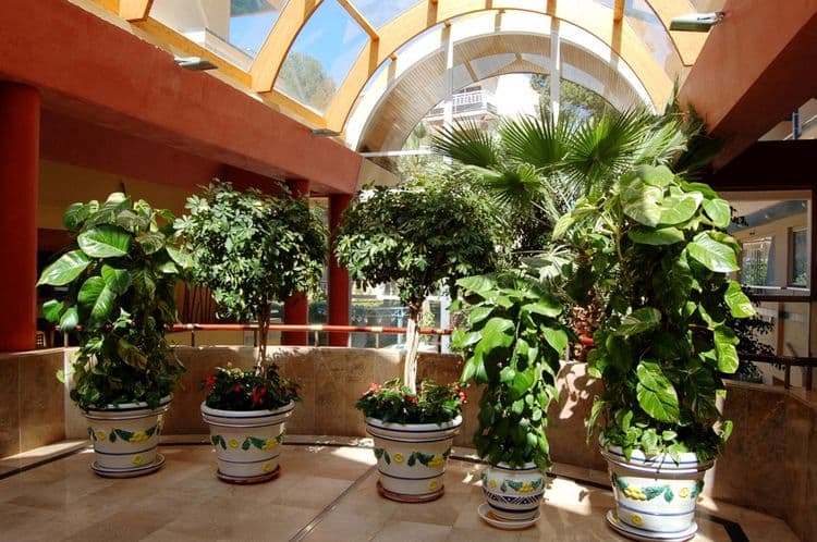 4R Playa Park Hotel